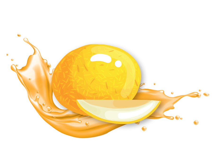 Melon